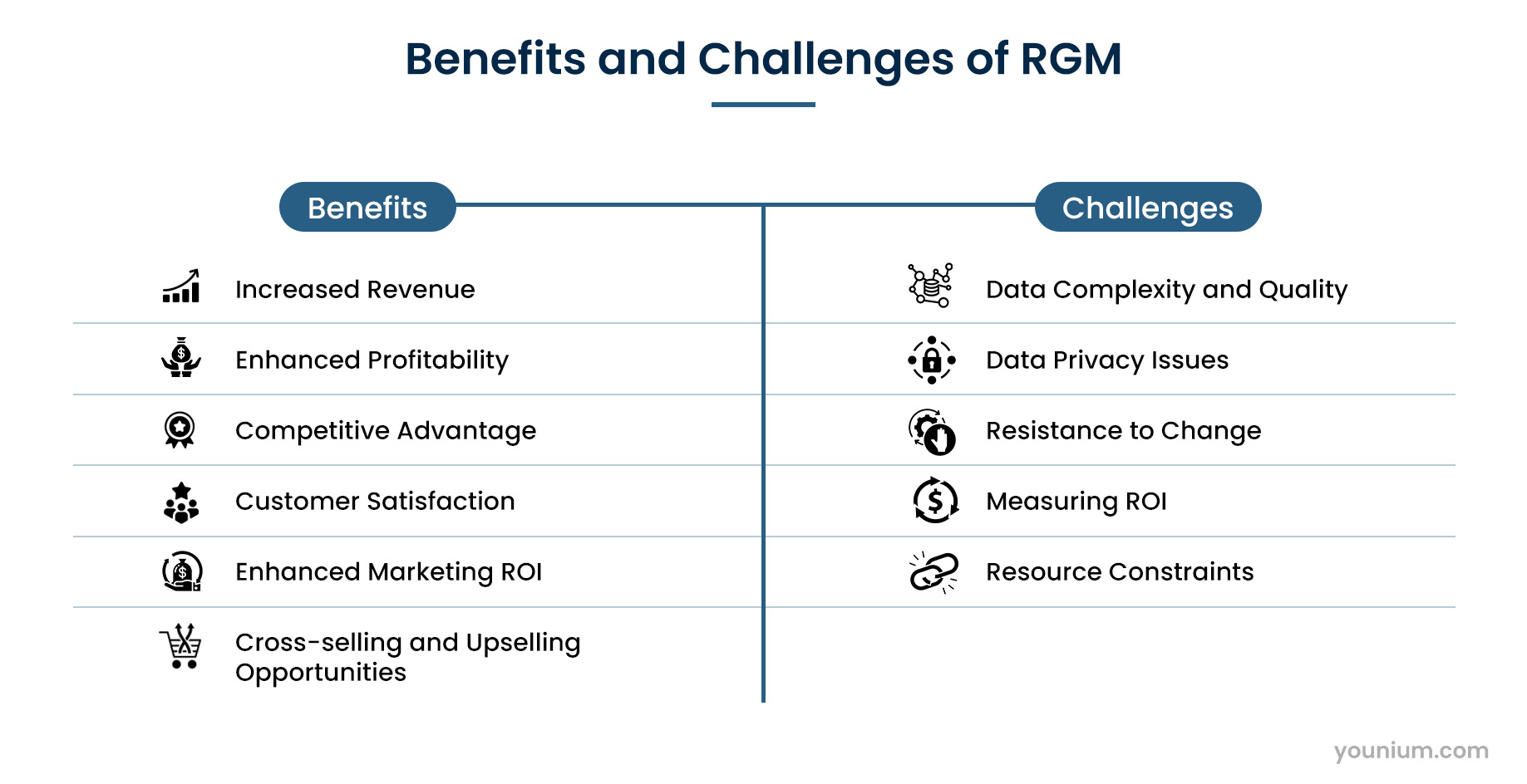 Benefits and Challenges of RGM