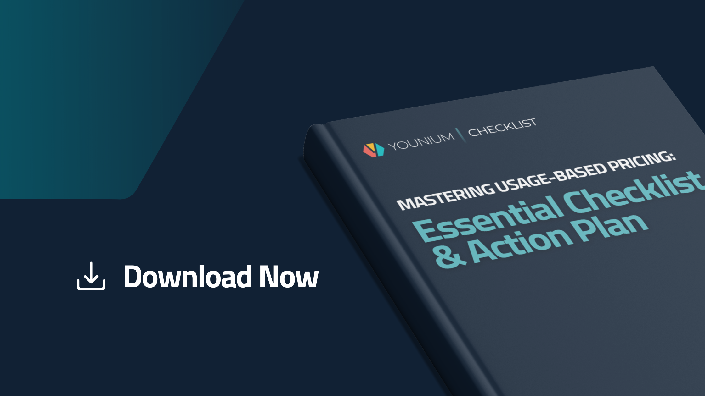 Usage Based Pricing Checklist Download