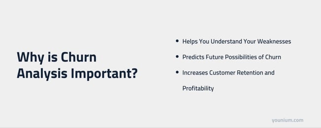churn analysis important