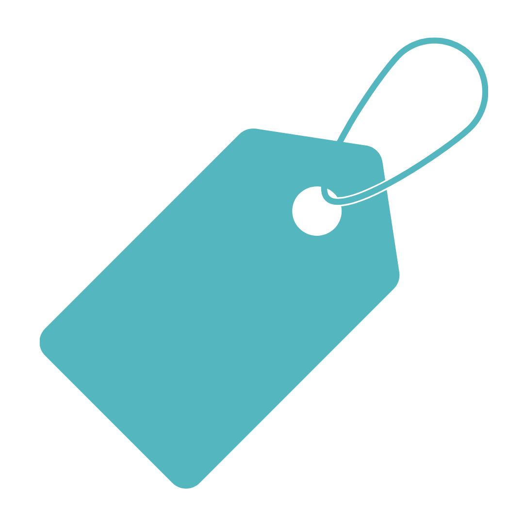 icon_Price tag_turqoise